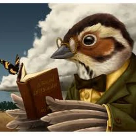 Expert birding advice