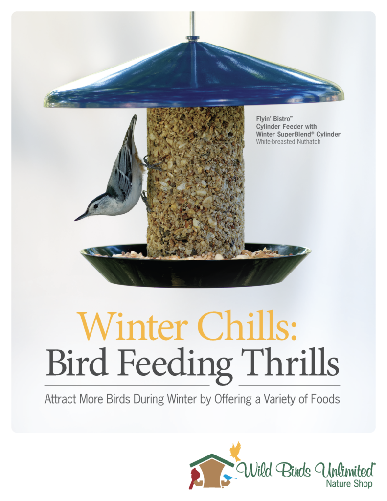 seed cylinder bird feeder